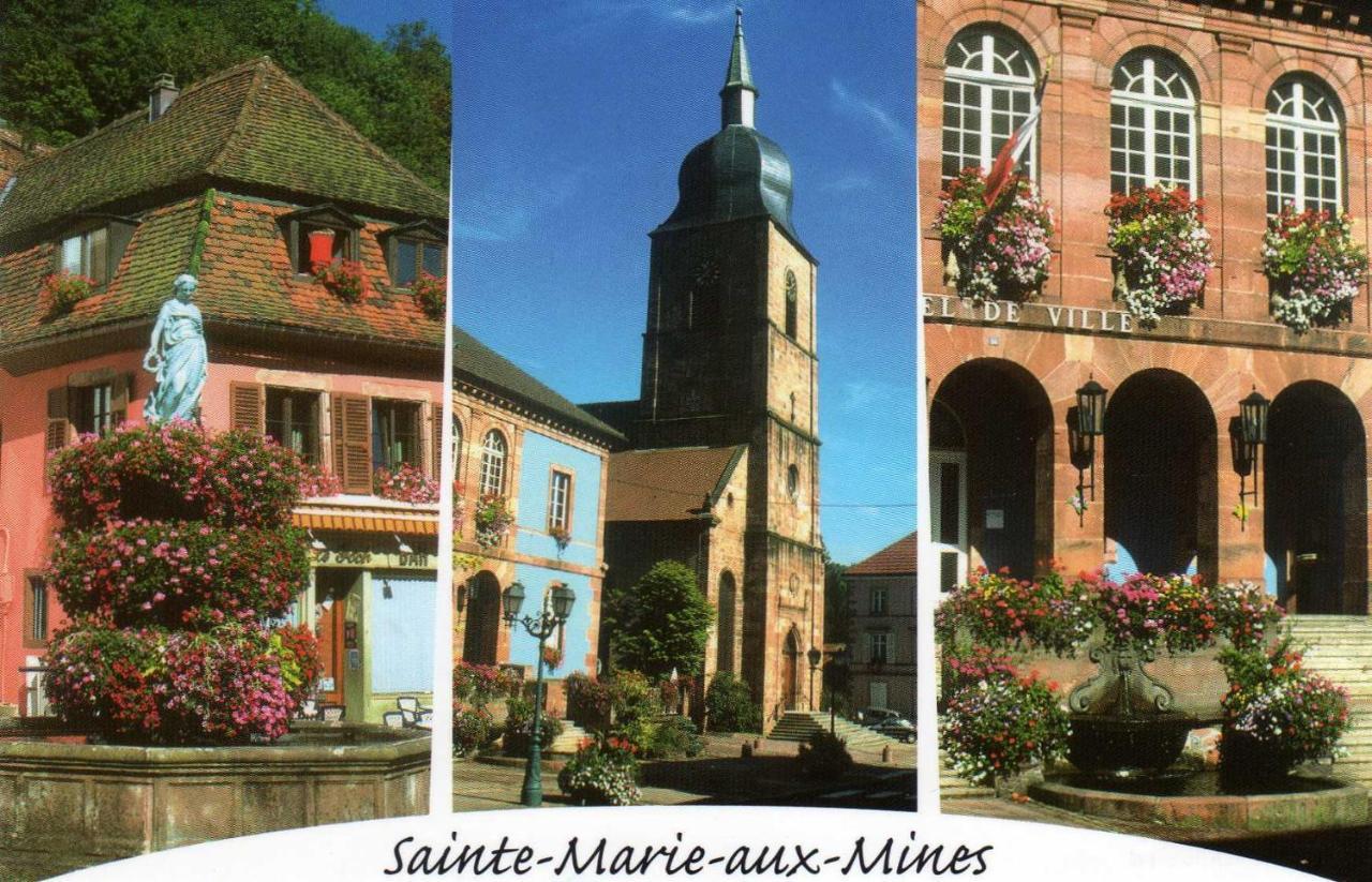 Les Lilas Sainte-Marie-aux-Mines Ngoại thất bức ảnh